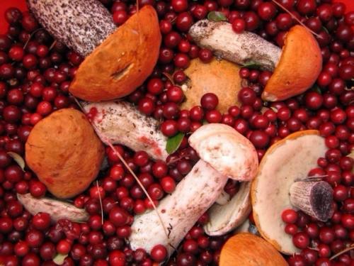 Список продуктов для похудения. 01