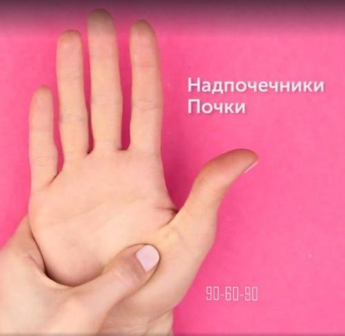 5 активных точек на ладонях, которые управляют организмом.