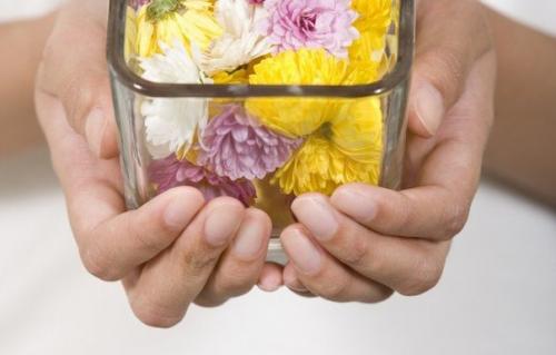 Лечение пиелонефрита народными средствами. 

