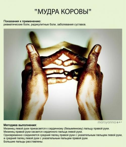 Мы улучшаем свое здоровье! 05