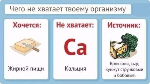 Здоровая альтернатива всегда есть? 04