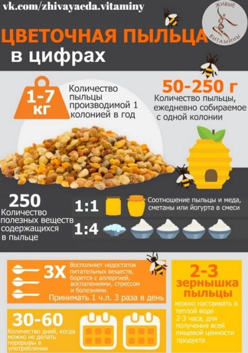Живой дар природы - цветочная пыльца. 01 Живой дар природы - цветочная пыльца. 01
