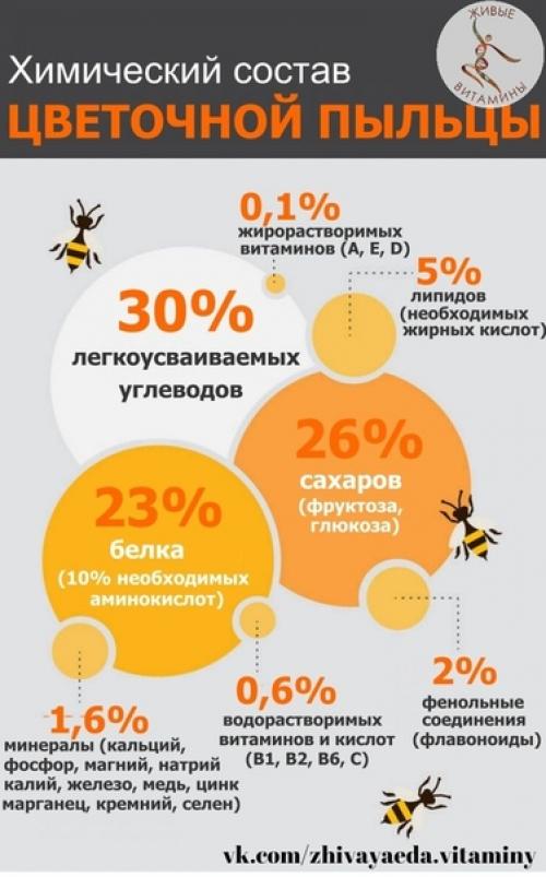 Живой дар природы - цветочная пыльца. Живой дар природы - цветочная пыльца.