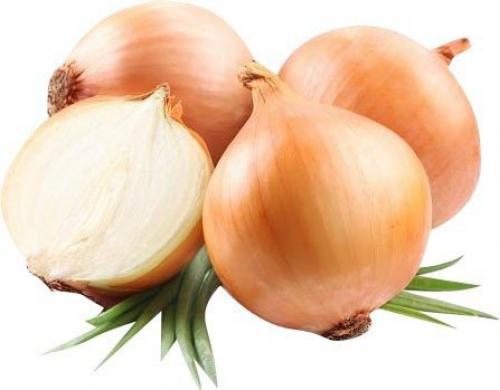 1. клюква. За лекарственную ценность клюквы несут ответственность химические соединения процианидины, которые относятся к мощным антиоксидантам. 01 1. клюква. За лекарственную ценность клюквы несут ответственность химические соединения процианидины, которые относятся к мощным антиоксидантам. 01