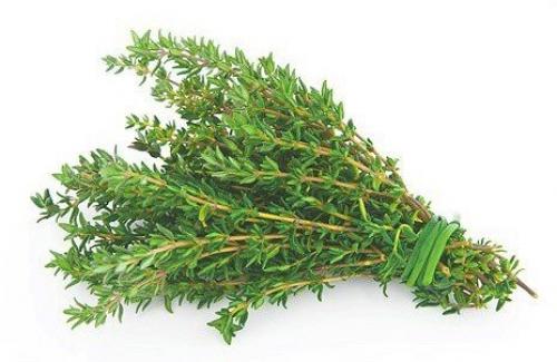 1. клюква. За лекарственную ценность клюквы несут ответственность химические соединения процианидины, которые относятся к мощным антиоксидантам. 04 1. клюква. За лекарственную ценность клюквы несут ответственность химические соединения процианидины, которые относятся к мощным антиоксидантам. 04