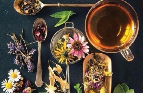 Рецепты травяных чаев для похудения: