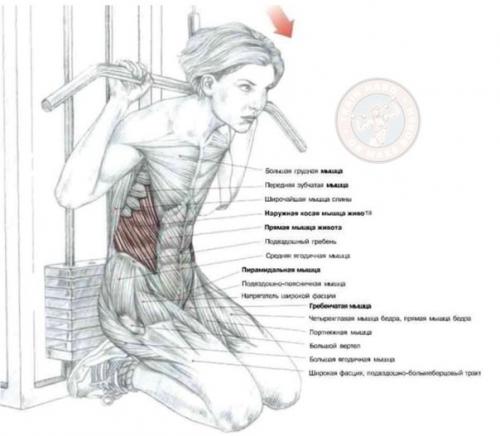 Выполняй Сетом? Мы убиваем пресс? 02 Выполняй Сетом? Мы убиваем пресс? 02