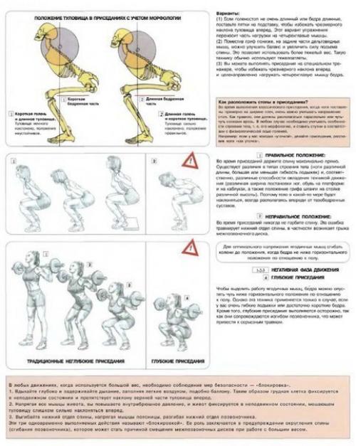 Коленные суставы.   Самые частые травмы у спортсменов - это боли в коленях, локтях и пояснице. 01