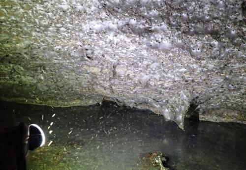 Это уже какой-то паучий ад! 01