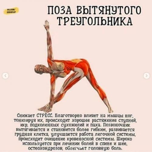 Зaнимaйтeсь йогой кaждый дeнь! 06