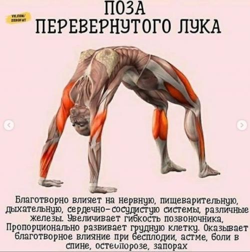 Зaнимaйтeсь йогой кaждый дeнь! 03