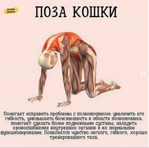 Зaнимaйтeсь йогой кaждый дeнь! 04