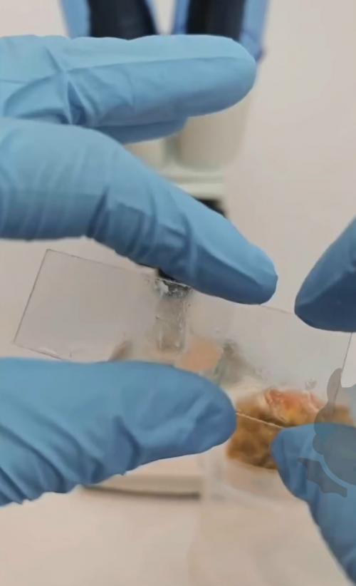 Любители роллов, держитесь. 01