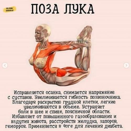 Зaнимaйтeсь йогой кaждый дeнь! 02