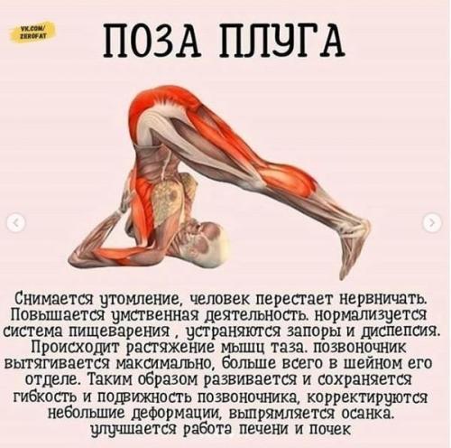 Зaнимaйтeсь йогой кaждый дeнь! 01