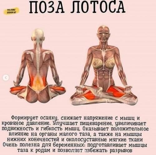 Зaнимaйтeсь йогой кaждый дeнь! 05