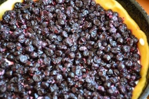 Пирог с творогом и черникой. 04