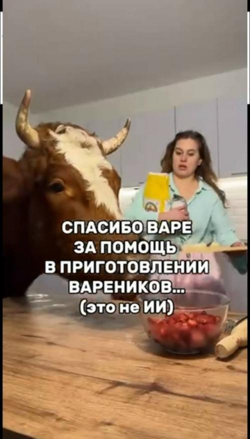 Представьте, что у вас по соседству поселилась корова!  