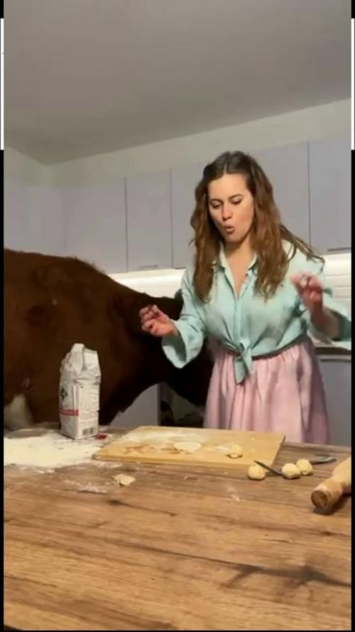 Представьте, что у вас по соседству поселилась корова! 01