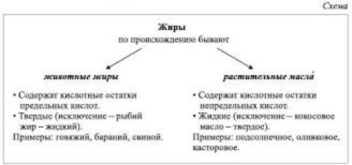 Бывать происхождение. Классификация жиров по происхождению. Схема жиров. Жиры по происхождению бывают химия. Классификация жиров химия.