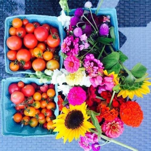 10 принципов правильного питания.

