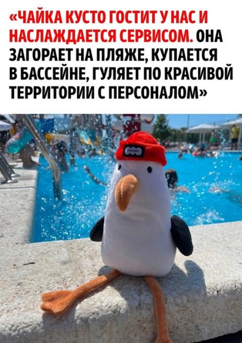 Одна маленькая девочка забыла свою любимую игрушку в отеле Анапы из-за чего не могла успокоиться. 01