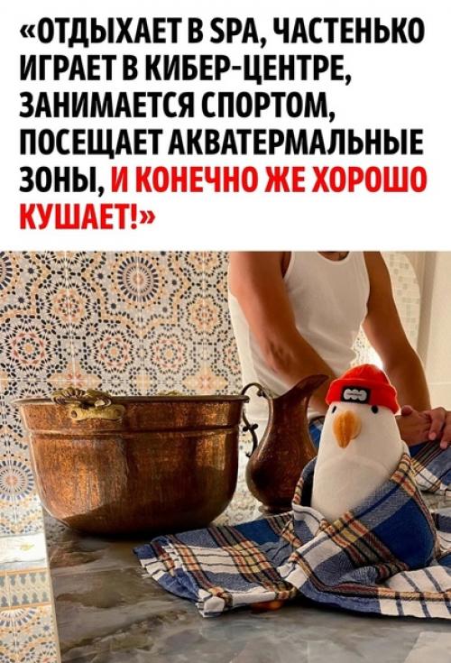 Одна маленькая девочка забыла свою любимую игрушку в отеле Анапы из-за чего не могла успокоиться. 02