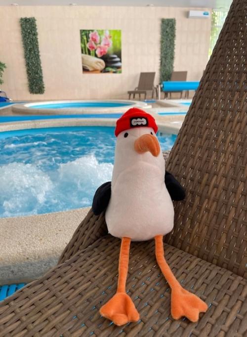 Одна маленькая девочка забыла свою любимую игрушку в отеле Анапы из-за чего не могла успокоиться. 05