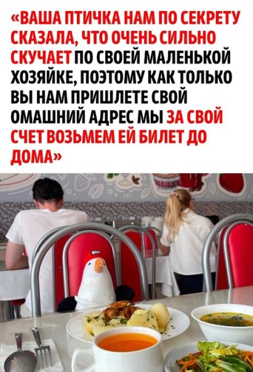 Одна маленькая девочка забыла свою любимую игрушку в отеле Анапы из-за чего не могла успокоиться. 03