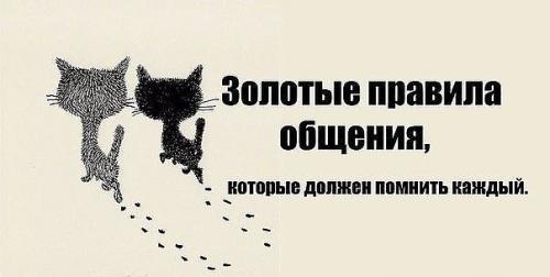 Золотые правила общения, которые должен помнить каждый.

