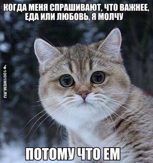 Особенно популярно это в среде профессиональных спортсменов. Особенно популярно это в среде профессиональных спортсменов.