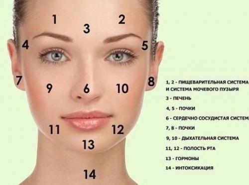 Прыщи - болезни внутренних органов.