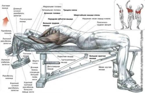 Для новичков или тех, кто вдруг не знает. 02