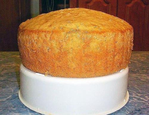 Бисквит на любом лимонаде с газом. 04 Бисквит на любом лимонаде с газом. 04