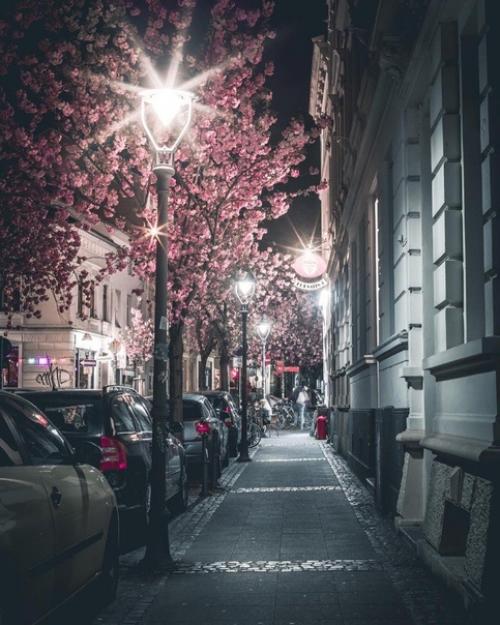 Сказочная апрельская ночь в цветущем Бонне. 05