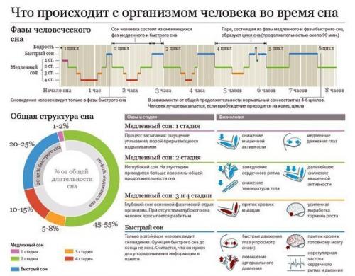 Сон.  Физиология сна. Сон.  Физиология сна.