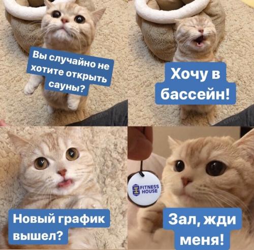 А вы обновлённый график открытия клубов видели!