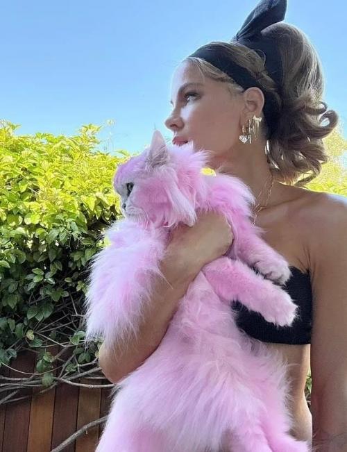 51-Летняя актриса недавно поделилась в социальных сетях фотографией своего пушистого питомца, который удивил всех своим новым ярким цветом. 02