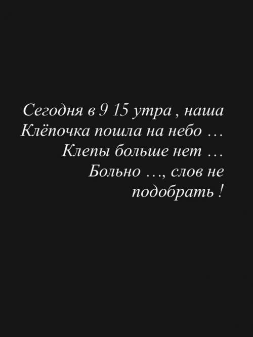 Звезда Уральских Пельменей Илана дылдина сообщила о смерти своей собаки Клёпы, на которую ранее напала овчарка. 02