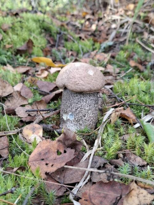 18 сентября 2025. 02