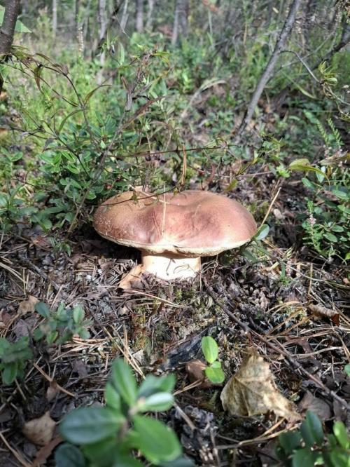 18 сентября 2025. 03