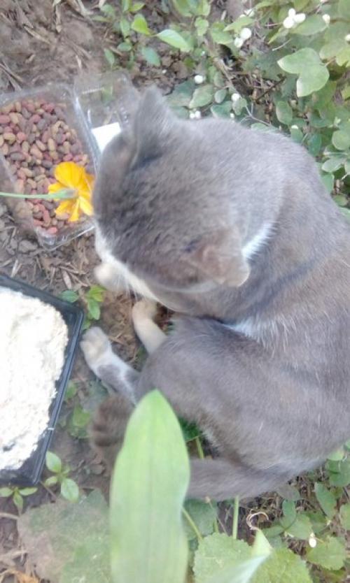 Админ, размести, пожалуйста, тему! 01