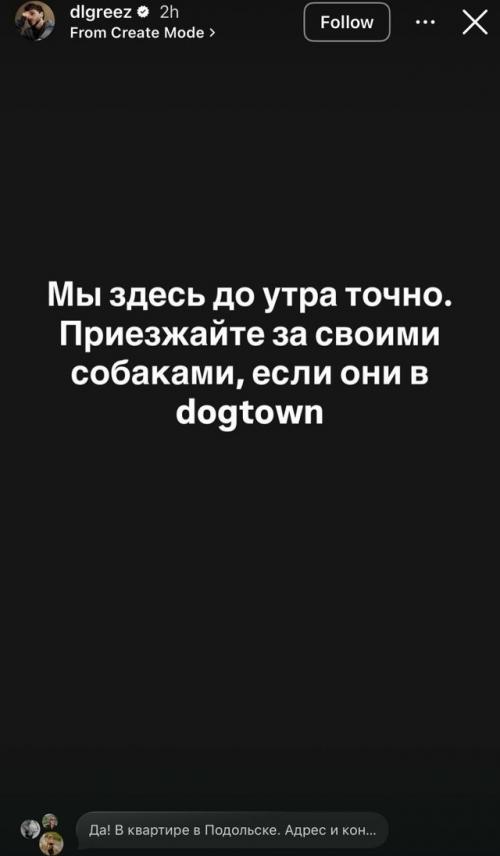 Собаки джарахова и певицы Моны вместо временного размещения оказались в настоящей тюрьме для животных. 04