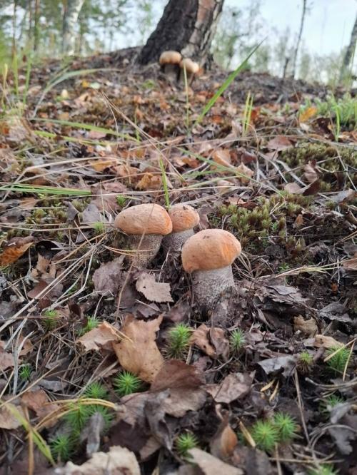 18 сентября 2025. 04