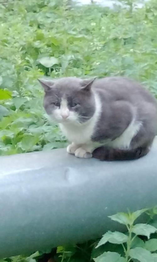 Админ, размести, пожалуйста, тему!