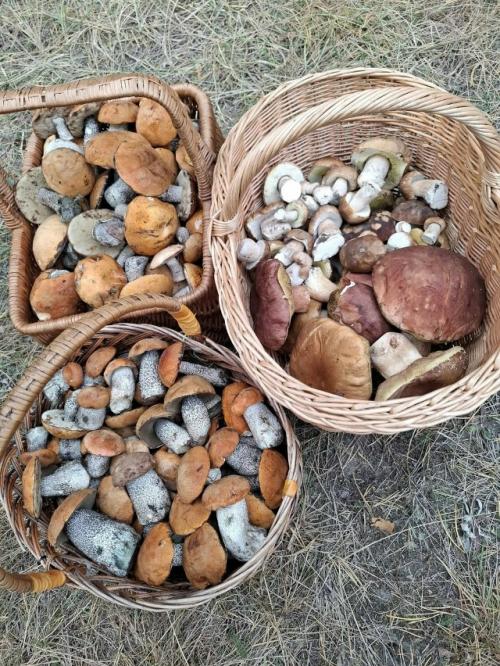 18 сентября 2025. 01