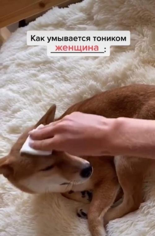 Когда взяла диск протереть лицо и увидела грязную раковину! 04