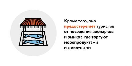 Стоит ли россиянам опасаться коронавируса. Стоит ли россиянам бояться вируса?