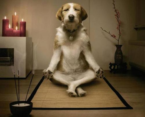 Как материализовать мысли и желания выйти замуж. Как материализовать желание любой сложности благодаря любви и сосредоточенности?