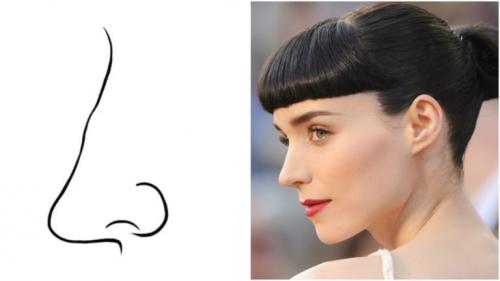 Характер по носу у женщин. Форма носа и характер человека 08 Характер по носу у женщин. Форма носа и характер человека 08